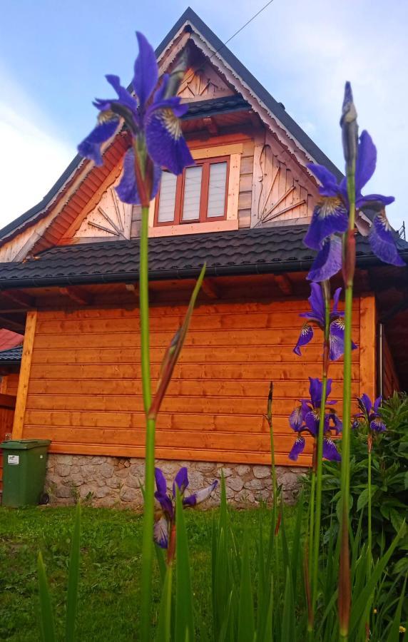 Muran1 Bukowina Tatrzańska Extérieur photo